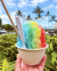 a person holding a bowl of rainbow ice cream in front of palm trees